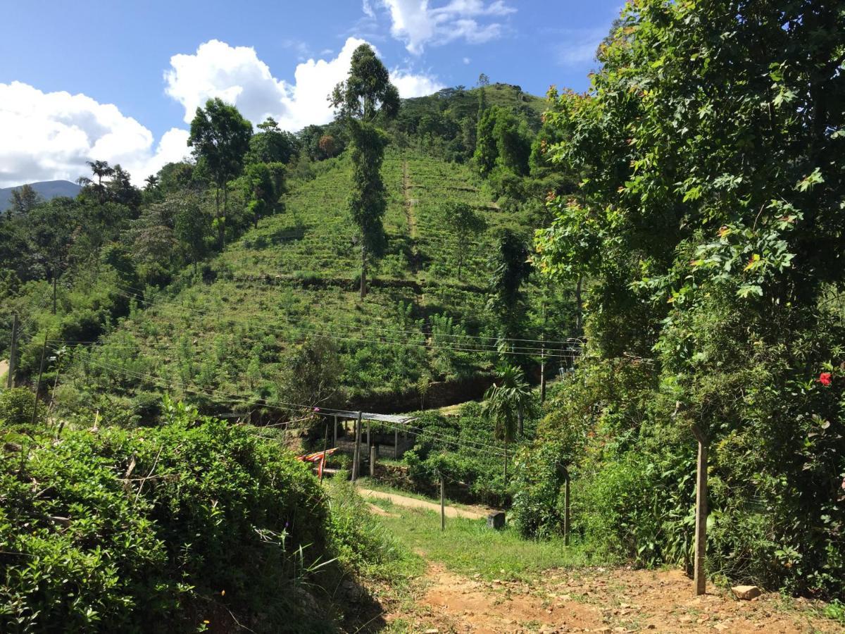 Rohana Estate Lodging & Camping แคนดี้ ภายนอก รูปภาพ