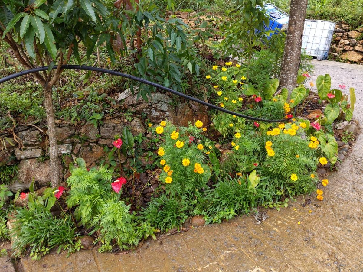 Rohana Estate Lodging & Camping แคนดี้ ภายนอก รูปภาพ