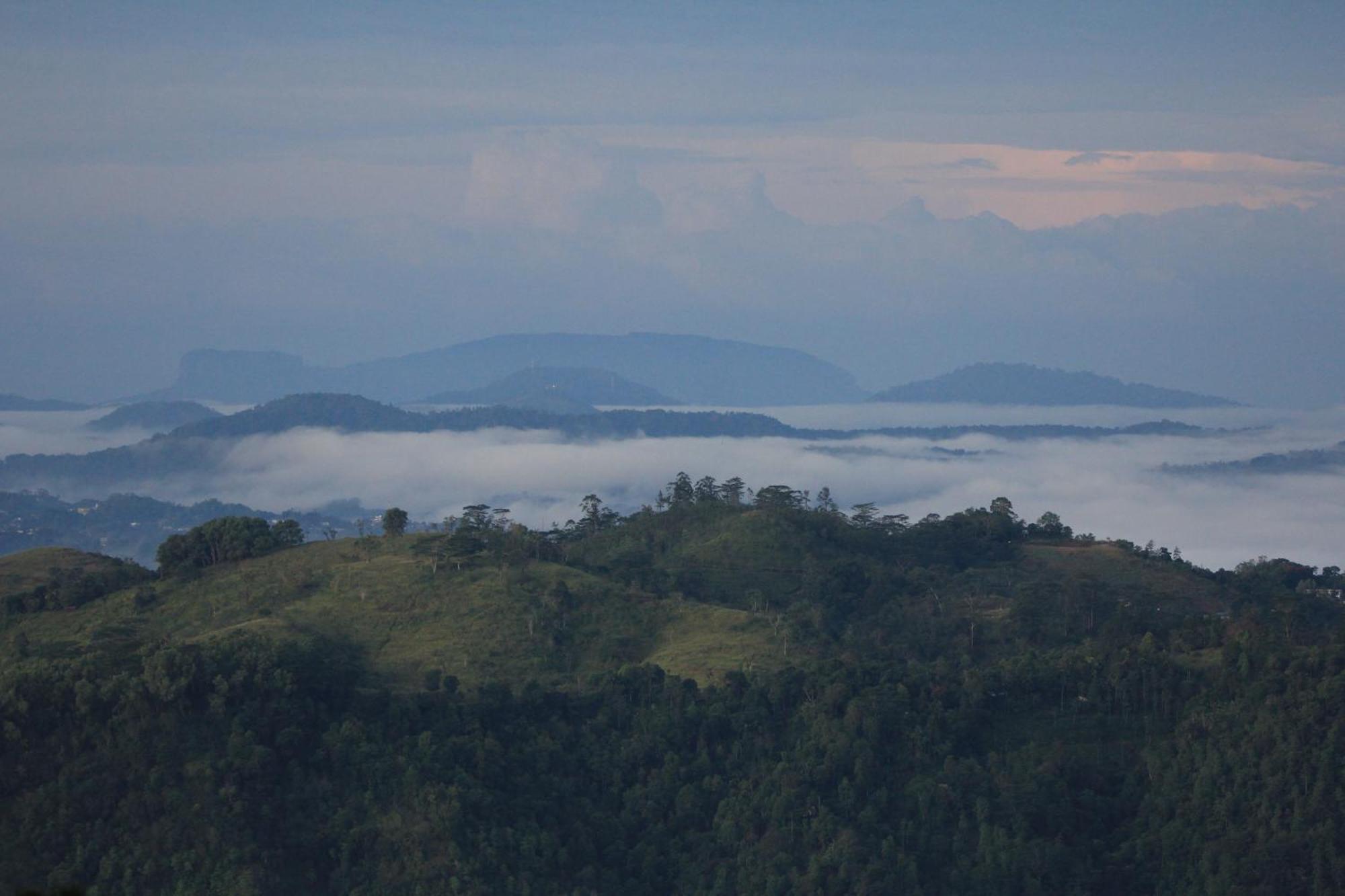 Rohana Estate Lodging & Camping แคนดี้ ภายนอก รูปภาพ