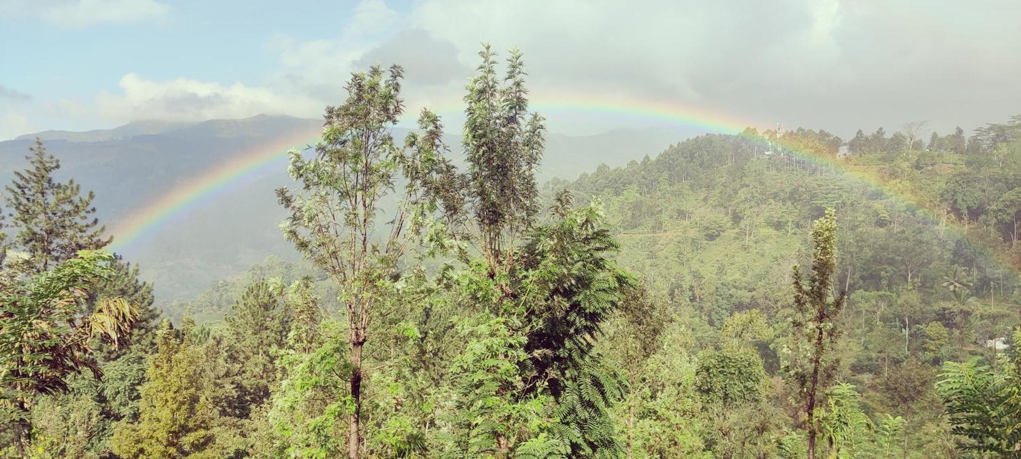 Rohana Estate Lodging & Camping แคนดี้ ภายนอก รูปภาพ